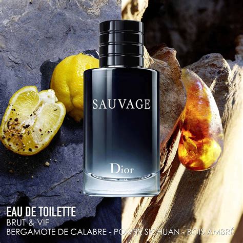 christian dior eau de toilette 1980|men's sauvage eau de toilette.